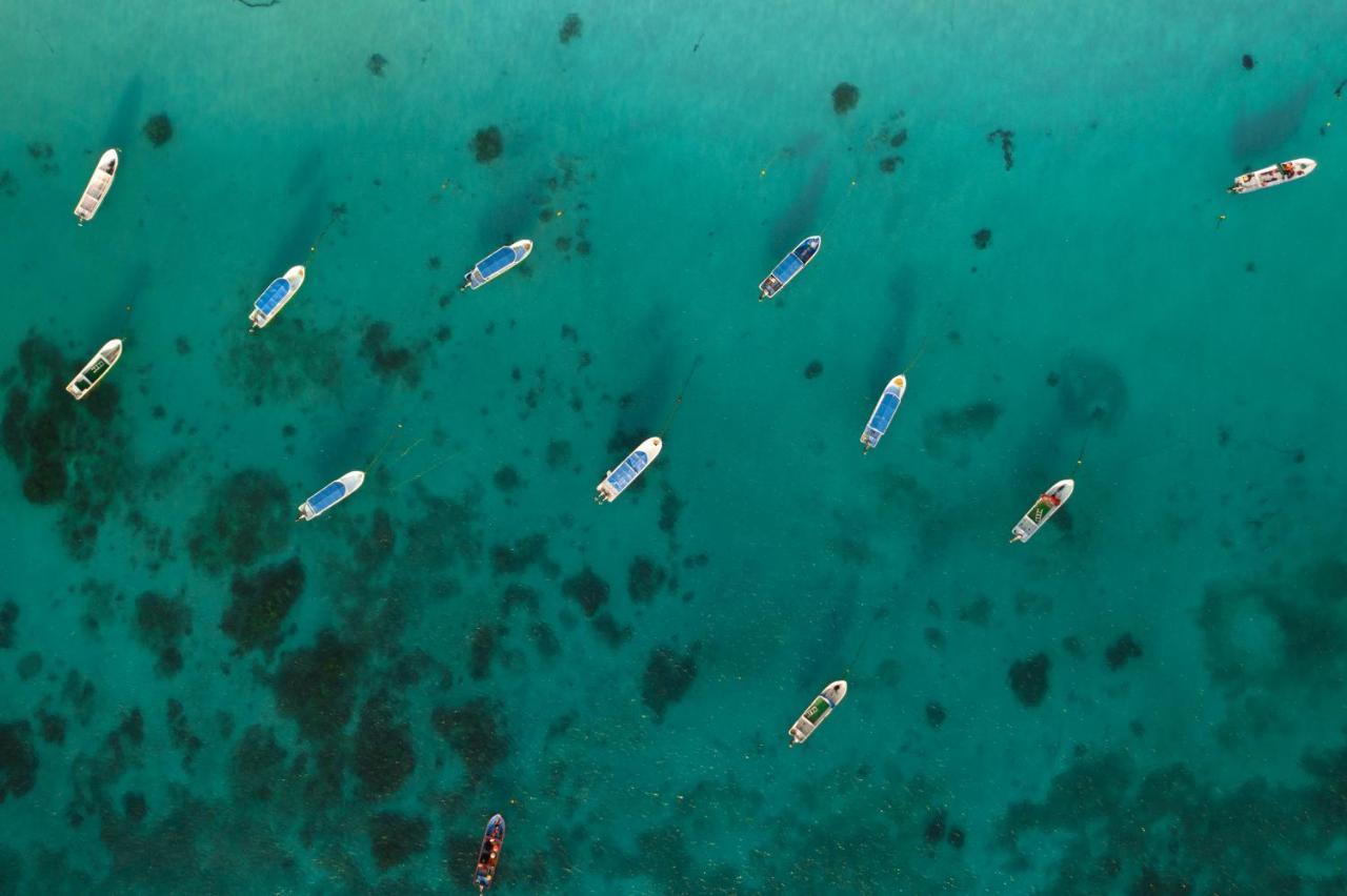 Alito Tulum Hotel Εξωτερικό φωτογραφία