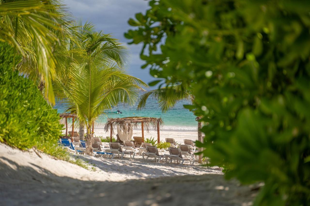 Alito Tulum Hotel Εξωτερικό φωτογραφία