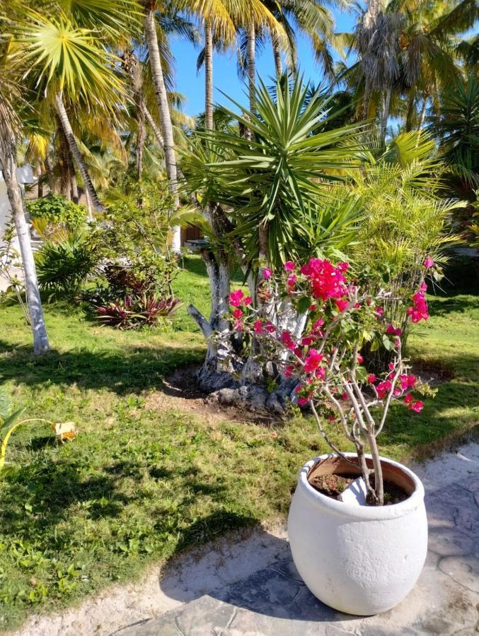 Alito Tulum Hotel Εξωτερικό φωτογραφία