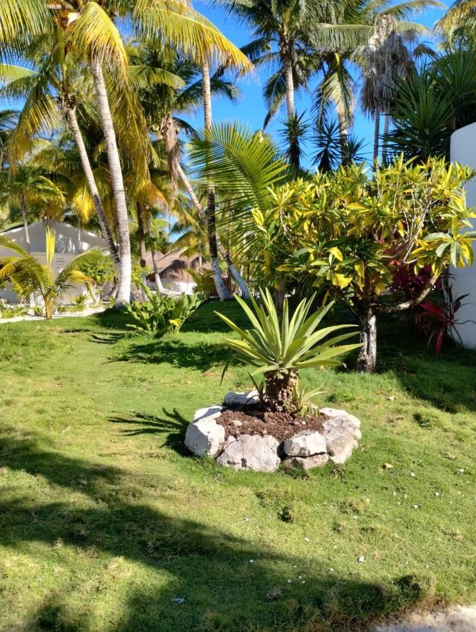 Alito Tulum Hotel Εξωτερικό φωτογραφία