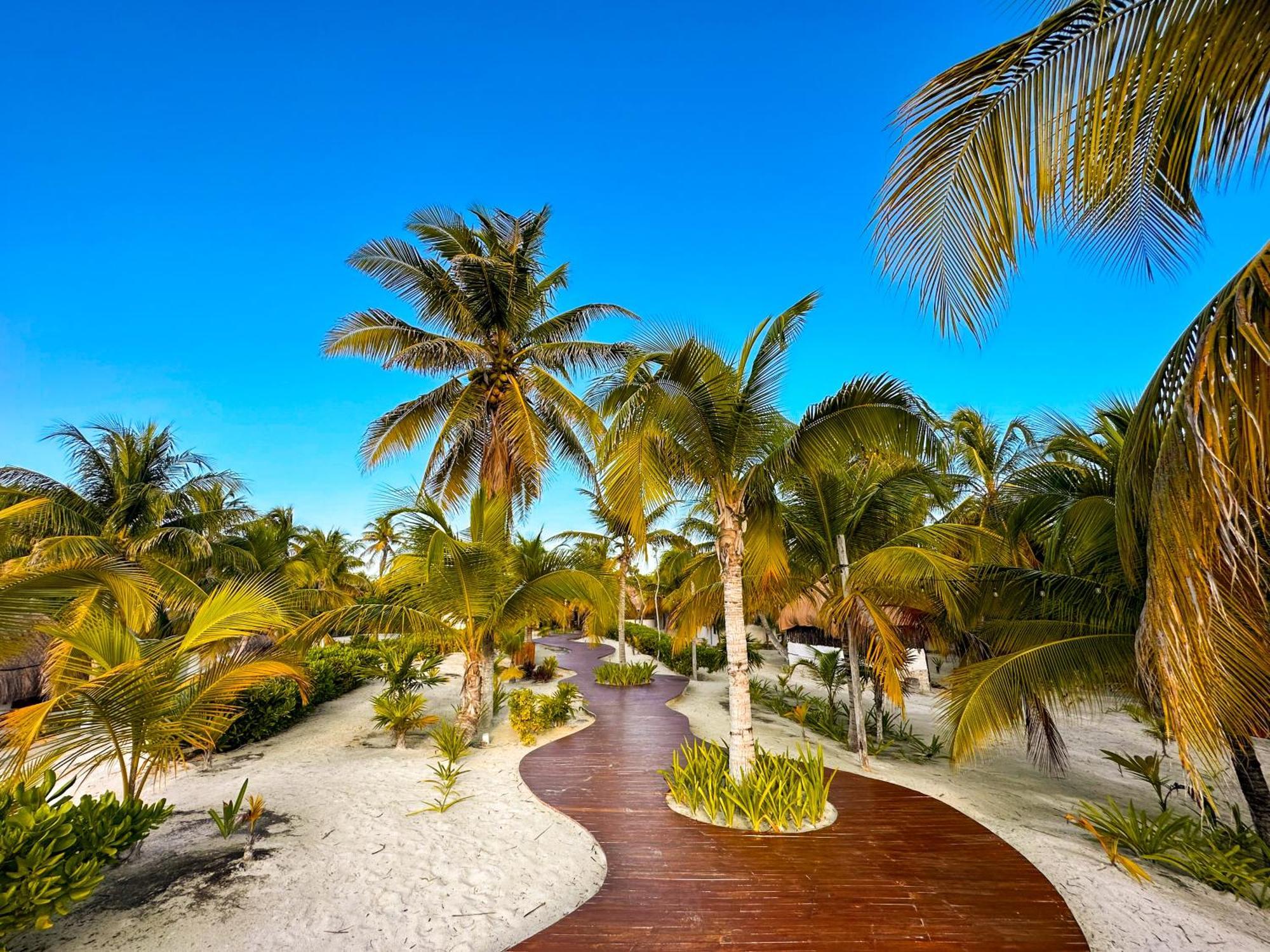 Alito Tulum Hotel Εξωτερικό φωτογραφία