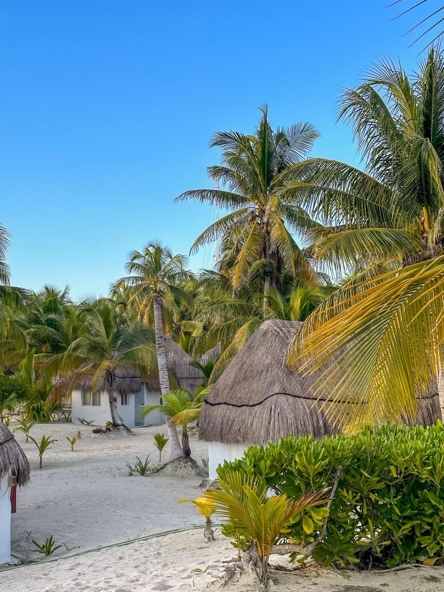 Alito Tulum Hotel Εξωτερικό φωτογραφία